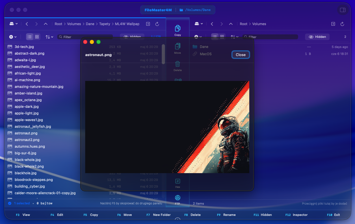 Built-in file preview